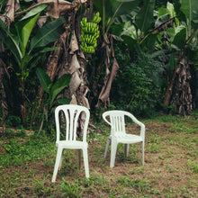 Load image into Gallery viewer, Bad Bunny - Debí Tirar Más Fotos (2LP White vinyl)