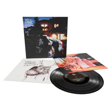 Load image into Gallery viewer, Bat For Lashes - Fur And Gold (2025 Remaster)