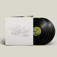 Load image into Gallery viewer, Big Thief - Dragon New Warm Mountain I Believe In You (2LP)