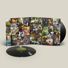 Load image into Gallery viewer, Big Thief - Dragon New Warm Mountain I Believe In You (2LP)