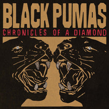 Load image into Gallery viewer, Black Pumas - Chronicles Of A Diamond (Clear)