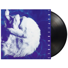 Load image into Gallery viewer, Chapterhouse - Whirlpool (LP)