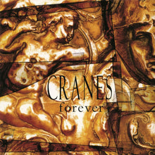 Load image into Gallery viewer, Cranes - Forever (Clear)