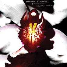 Load image into Gallery viewer, Chrystabell & David Lynch - Cellophane Memories (Clear)