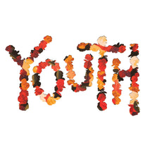 Load image into Gallery viewer, Citizen - Youth (10 Year Anniversary Edition, Flower Petal vinyl)