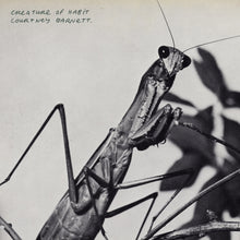 Load image into Gallery viewer, Courtney Barnett - Creature Of Habit