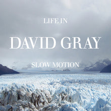 Load image into Gallery viewer, David Gray - Life in Slow Motion (20th Anniversary Edition) (Glacial Blue vinyl)