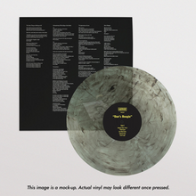 Load image into Gallery viewer, Destroyer - Dan's Boogie (Black & Clear Swirl vinyl)