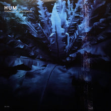 Load image into Gallery viewer, Hum - Downward Is Heavenward (2LP Clear Yellow vinyl)