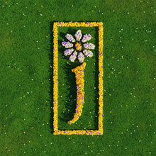 Load image into Gallery viewer, James - Nothing But Love: The Definitive Best Of (5LP Box Set)