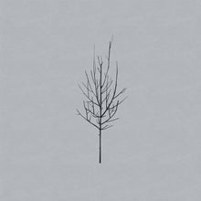 Load image into Gallery viewer, Low - Ones And Sixes (2LP)