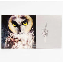 Load image into Gallery viewer, Low - Ones And Sixes (2LP)