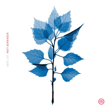 Load image into Gallery viewer, Matt Berninger - Get Sunk (Indie Exclusive, Cobalt blue vinyl)