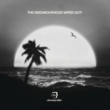 Load image into Gallery viewer, The Neighbourhood - Wiped Out! (10th Anniversary Edition, 2LP)