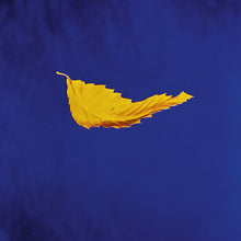 Load image into Gallery viewer, New Order - True Faith