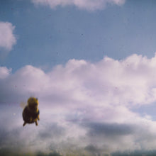 Load image into Gallery viewer, POND - Stung! (2LP Splatter Bee)