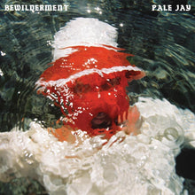 Load image into Gallery viewer, Pale Jay - Bewilderment (Seafoam Green vinyl)