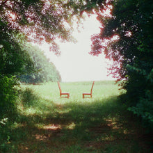 Load image into Gallery viewer, Ratboys - Singin' to an Empty Chair (2LP Olive Green Marble vinyl)
