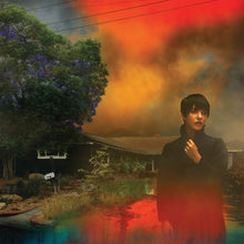 Load image into Gallery viewer, Sharon Van Etten - We've Been Going About This All Wrong (Maroon Insomnia + Signed Art Print)