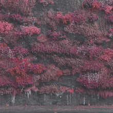 Load image into Gallery viewer, Sleep Token - Even In Arcadia (2LP Indie Exclusive, Gold vinyl)