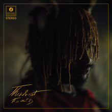 Load image into Gallery viewer, Thundercat - It Is What It Is (Red vinyl)