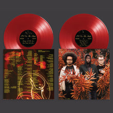 Load image into Gallery viewer, TV on the Radio - Desperate Youth, Blood Thirsty Babes (20th Anniversary Edition) (2LP Opaque Red vinyl)