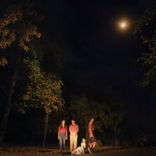Load image into Gallery viewer, The Ophelias - Spring Grove (Indie Exclusive, Forest Green vinyl)
