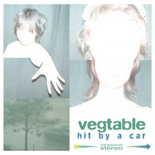 Load image into Gallery viewer, Vegtable - Hit By A Car (CD)