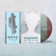 Load image into Gallery viewer, Vegtable - Hit By A Car (CD)