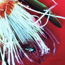 Load image into Gallery viewer, Yonlapa - Velvet Petals (Clear Orange vinyl)