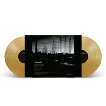 Load image into Gallery viewer, Envy - Insomniac Doze (Anniversary Edition, 2LP Metallic Gold vinyl)