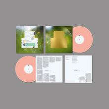 Load image into Gallery viewer, Spiritualized - Everything Was Beautiful (Pink)