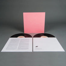 Load image into Gallery viewer, Sunny Day Real Estate - LP2 (2LP)