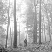 Load image into Gallery viewer, Taylor Swift - Folklore (Brown "In The Trees")