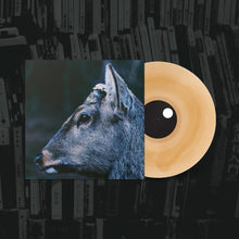 Load image into Gallery viewer, toe - The Book About My Idle Plot On A Vague Anxiety (Tan and Clear Caramel)