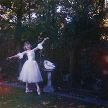 Load image into Gallery viewer, Wolf Alice - Visions Of A Life (2LP)