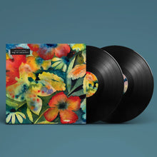 Load image into Gallery viewer, Adrianne Lenker - Songs And Instrumentals (2LP)
