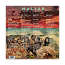 Load image into Gallery viewer, Anderson .Paak - Malibu (10th Anniversary Edition, 2LP Sea Floor vinyl)
