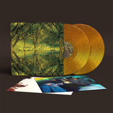 Load image into Gallery viewer, Band of Horses - Everything All The Time (20th Anniversary Edition) (2LP Loser Edition)
