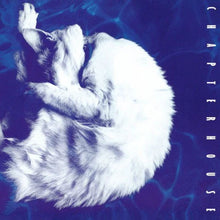 Load image into Gallery viewer, Chapterhouse - Whirlpool (White &amp; Black Marbled vinyl, Numbered)
