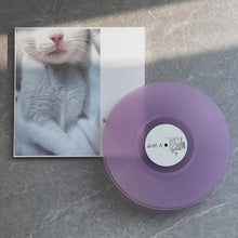 Load image into Gallery viewer, Chestnut Bakery - Diaries (Pink Clear vinyl)

