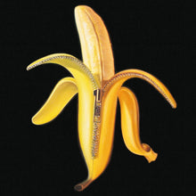 Load image into Gallery viewer, The Dandy Warhols - Welcome To The Monkey House
