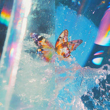 Load image into Gallery viewer, Daphni - Butterfly (2LP)
