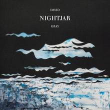 Load image into Gallery viewer, David Gray - Nightjar (2LP)
