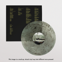 Load image into Gallery viewer, Destroyer - Dan's Boogie (Black &amp; Clear Swirl vinyl)
