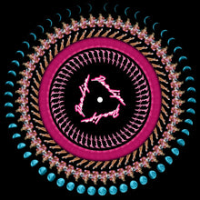 Load image into Gallery viewer, Dua Lipa - Future Nostalgia (Zoetrope Picture Disc)

