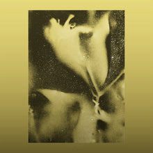 Load image into Gallery viewer, Flying Lotus - 1983 (Gold Splatter vinyl) - RSD 2026
