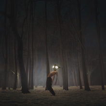 Load image into Gallery viewer, Geese - Projector
