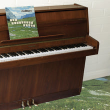 Load image into Gallery viewer, Grandaddy - The Sophtware Slump… On a Wooden Piano (Eco Mix Citrus Yellow vinyl)
