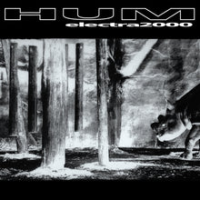 Load image into Gallery viewer, Hum - Electra 2000 (2LP)
